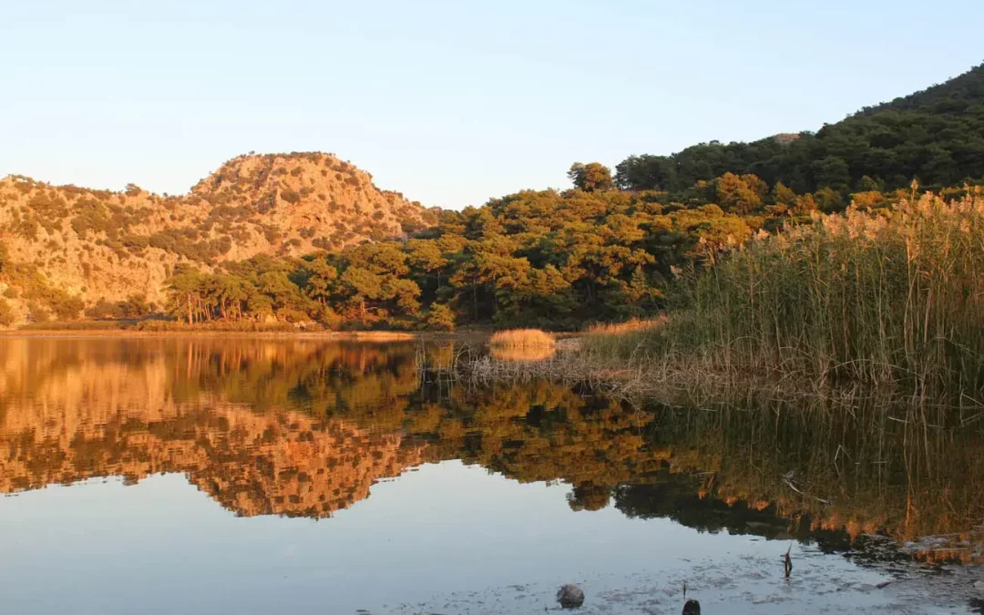 Visit The Town Dunkeld